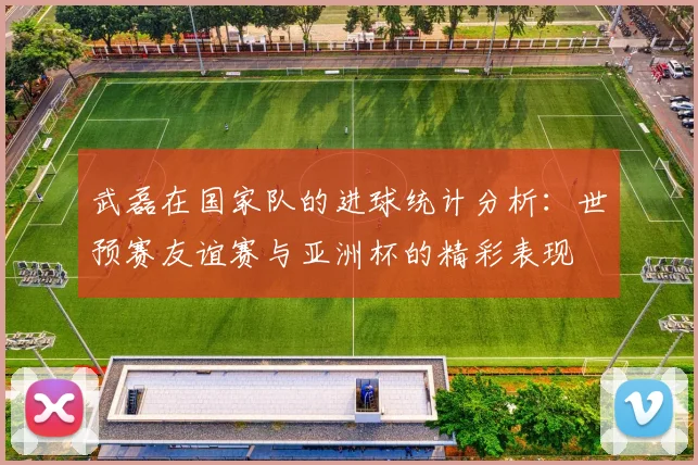 武磊在国家队的进球统计分析：世预赛友谊赛与亚洲杯的精彩表现