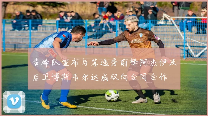 黄蜂队宣布与落选秀前锋阿杰伊及后卫博斯韦尔达成双向合同合作