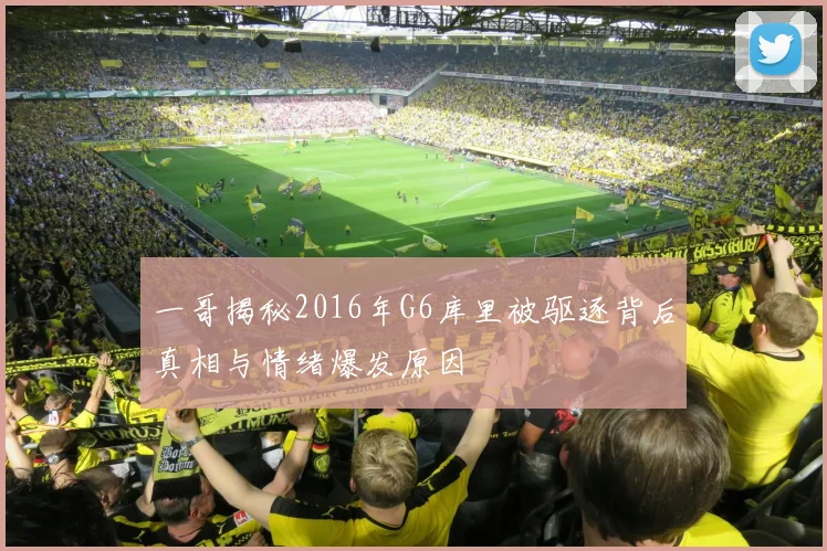 一哥揭秘2016年G6库里被驱逐背后真相与情绪爆发原因