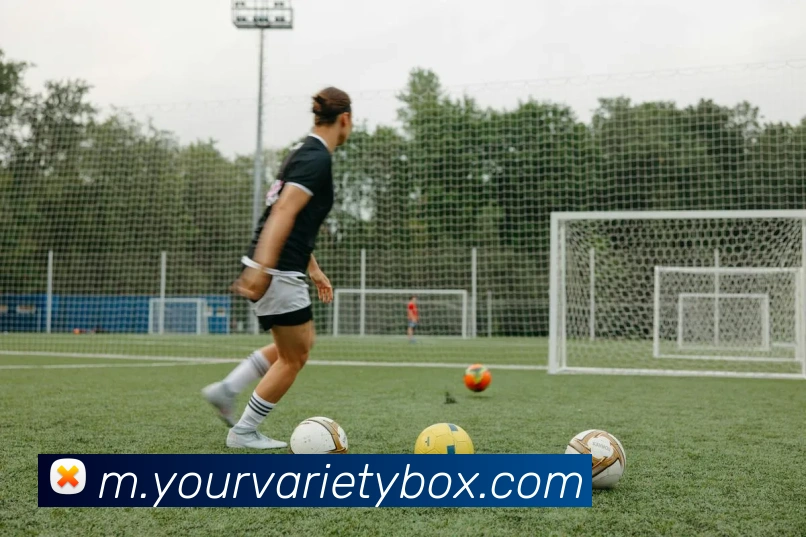 体育数据展示